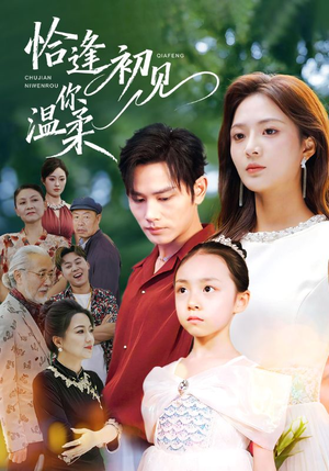 恰逢初见你温柔(86集) 恰逢初见你温柔(86集)演员表