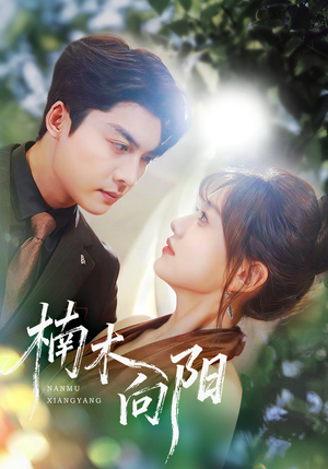 楠木向阳（70集）1-102集