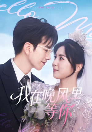 我在晚风里等你（65集）大结局太过瘾了
