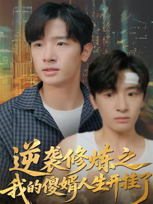 逆袭修炼之我的傻婿人生开挂了（65集）免费短剧合集