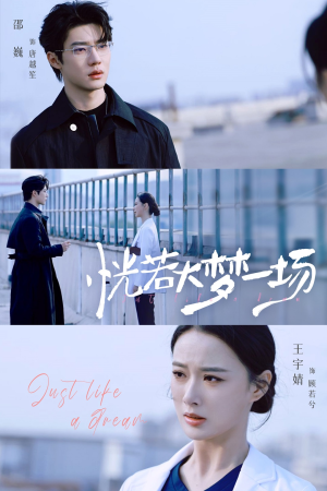 恍若大梦一场(53集) 恍若大梦一场(53集)番茄短剧免费看