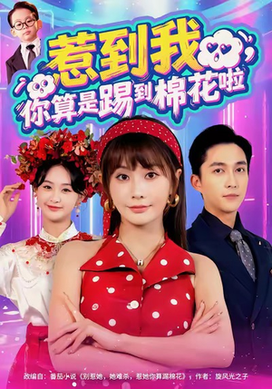 惹到我，你算是踢到棉花啦（67集）免费短剧就是爽