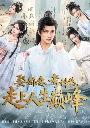 娶娇妻,考科举,走上人生巅峰(80集) 娶娇妻,考科举,走上人生巅峰(80集)热播短剧分享