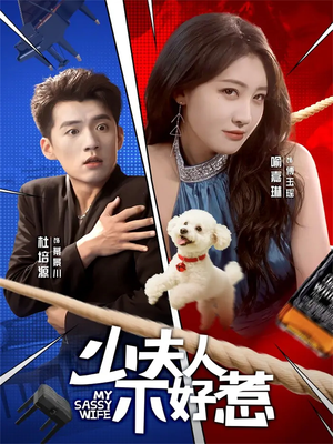 少夫人不好惹（61集）河马免费短剧