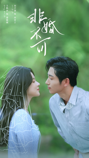 非婚不可（65集）观看软件