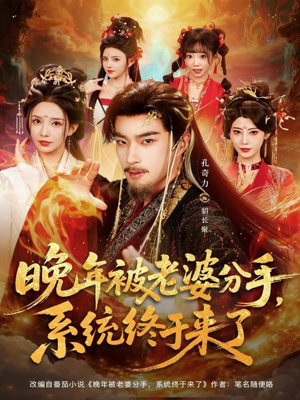 晚年被老婆分手，系统终于来了（80集）热门短剧推荐。