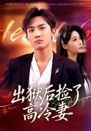 出狱后捡了高冷妻(71集) 出狱后捡了高冷妻(71集)剧情简介