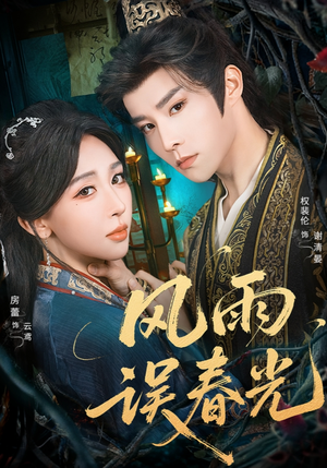 七年寒鸢(58集) 七年寒鸢(58集)在线看