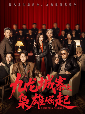 九龙局中局(71集) 九龙局中局(71集)精彩片段