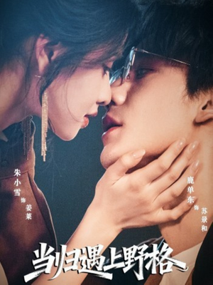 当归遇上野格（66集）去哪里看