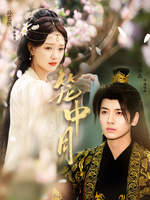 笼中月(65集) 笼中月(65集)热门短剧在线看