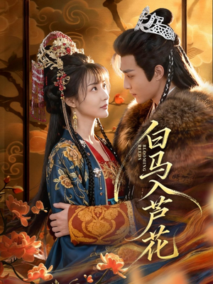 白马入芦花（59集）夸克在线观看