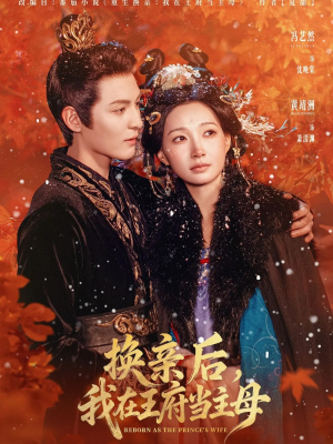 换亲后,我在王府当主母(80集) 换亲后,我在王府当主母(80集)夸克网盘在线看