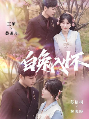 白兔入怀（60集）热播短剧来袭