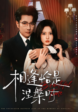 相逢恰是涅槃时（63集）热门短剧大全