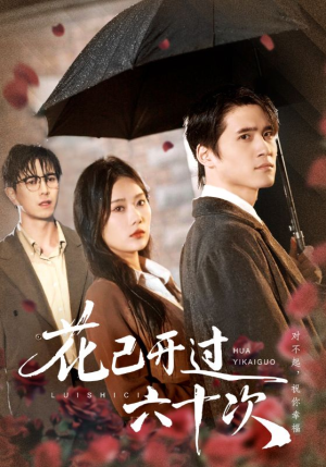 花已开过六十次（72集）流畅播放免费看