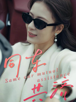 同车共济（39集）精彩的网络短剧