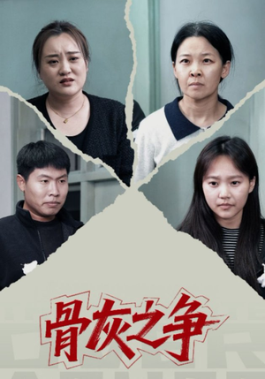骨灰之争(30集) 骨灰之争(30集)全集一网打尽