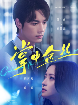 掌中金丝(60集) 掌中金丝(60集)最后的大结局