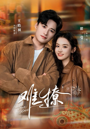 难撩（100集）海量短剧免费看