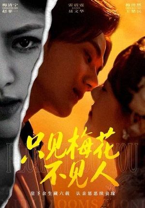 只见梅花不见人(63集) 只见梅花不见人(63集)剧情简介