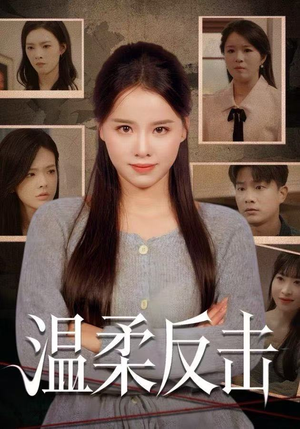 温柔反击(66集) 温柔反击(66集)演员表