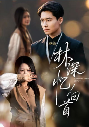 林深忆白首（60集）第一季