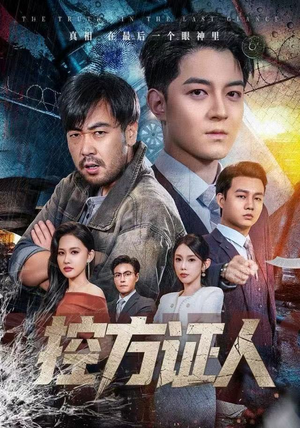 控方证人（75集）在哪看免费