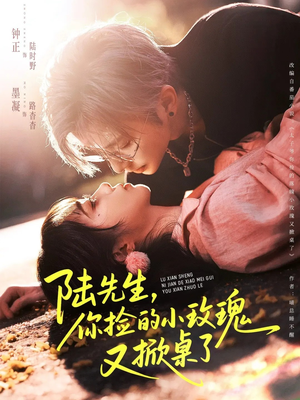 陆先生，你捡的小玫瑰又掀桌了（74集）精彩片段