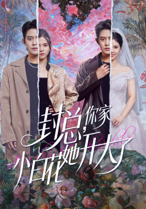 封总,你家小白花她开大了(60集) 封总,你家小白花她开大了(60集)精彩短剧片段