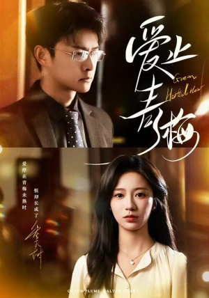 爱止青梅（60集）在哪看免费