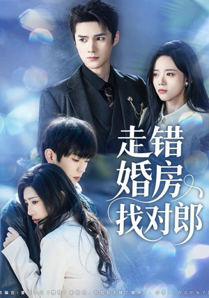 走错婚房找对郎（50集）海量资源免费看