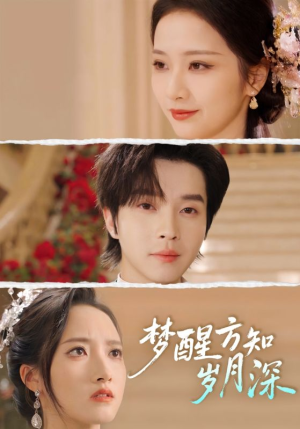 梦醒时你在我身侧（80集）全部免费看全集