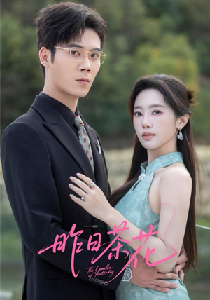 昨日茶花（56集）一口气追完全集