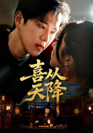 喜从天降(50集) 喜从天降(50集)短剧在线观看