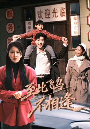 至此飞鸟不相逢（70集）每日短剧追不停