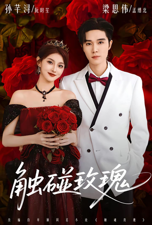 触碰玫瑰（80集）一口气看完