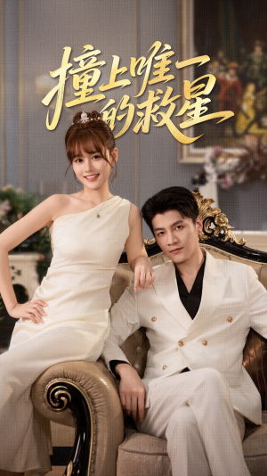 Z到唯一的JX（78集）流畅播放免费看