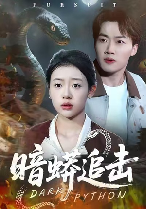 暗蟒追击（35集）看到了大结局