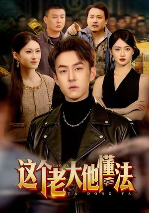 这个老大他懂法(100集) 这个老大他懂法(100集)精彩片段