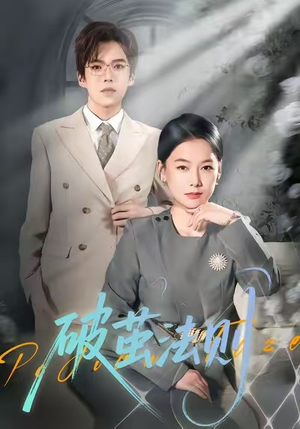 破茧法则（66集）短剧小说在线看