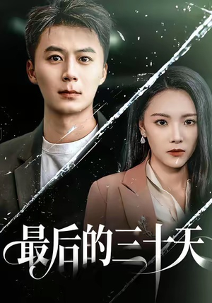 最后的三十天(52集) 最后的三十天(52集)解说文案