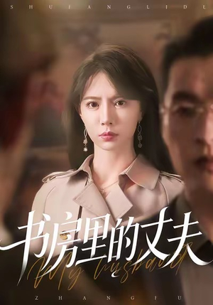 书房里的丈夫（100集）一口气追完全集