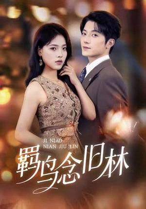 羁鸟念旧林(60集) 羁鸟念旧林(60集)第一季