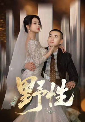 分手后，顶头上司要嫁我（70集）精彩的短剧