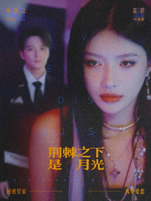 鸳鸯相抱何时了（66集）全集一次看完