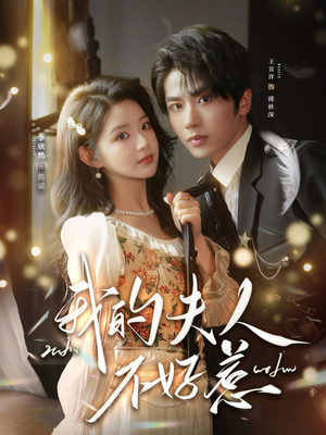 你好,我的旅长夫人(60集) 你好,我的旅长夫人(60集)全剧免费观看