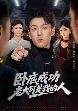 卧底成功老大可是我的人（99集）精彩好看的短剧