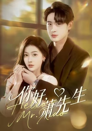 你好,萧先生(98集) 你好,萧先生(98集)简直不要太好看