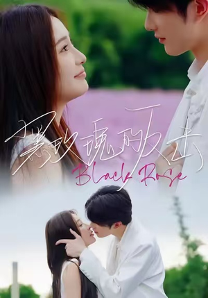 黑玫瑰的反击(47集) 黑玫瑰的反击(47集)全集一网打尽